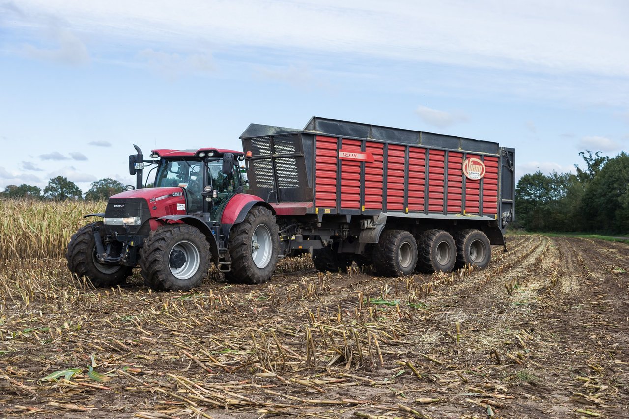 Bild 122 - Maisernte